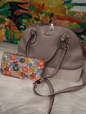 Set Of Coach Leather Bag And Wallet
